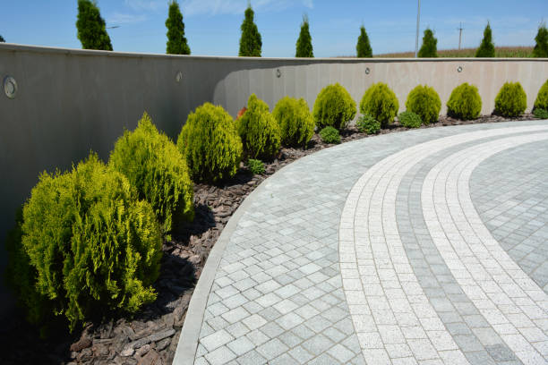 Decorative Driveway Pavers in Bloomington, TX